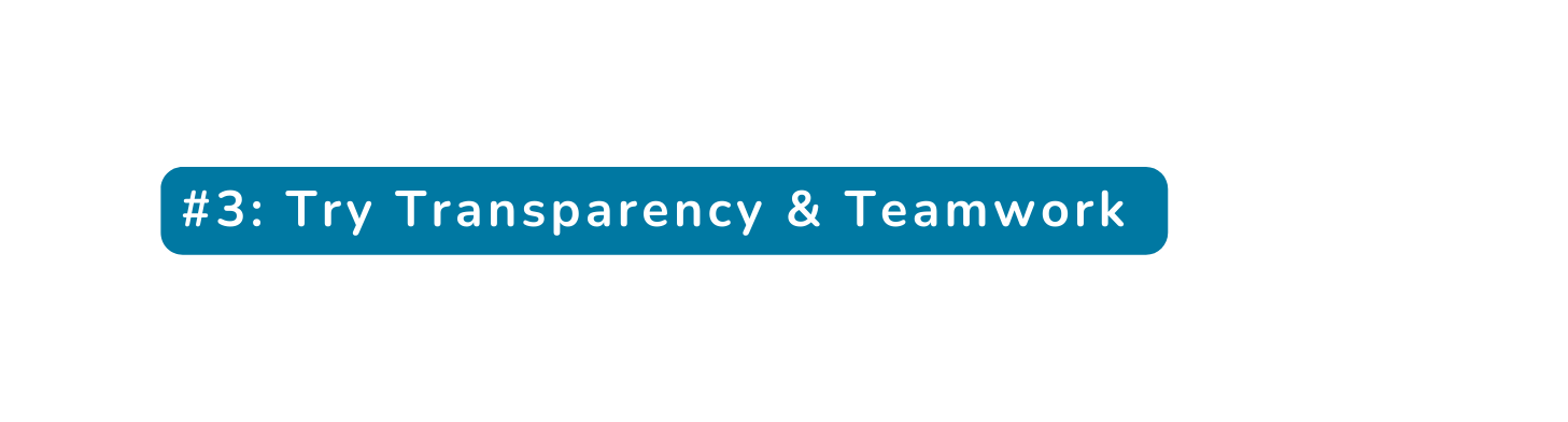 3 Try Transparency Teamwork