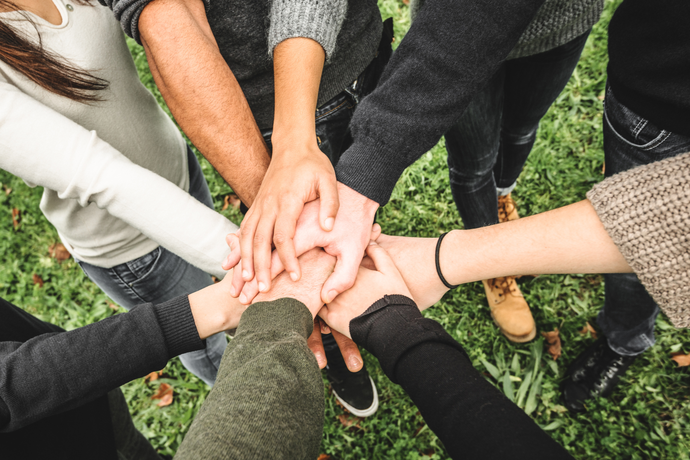 Group of teenagers volunteer